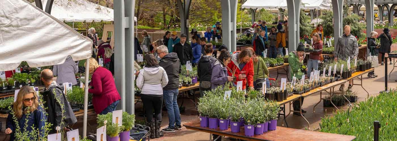 Spring Plant Sale