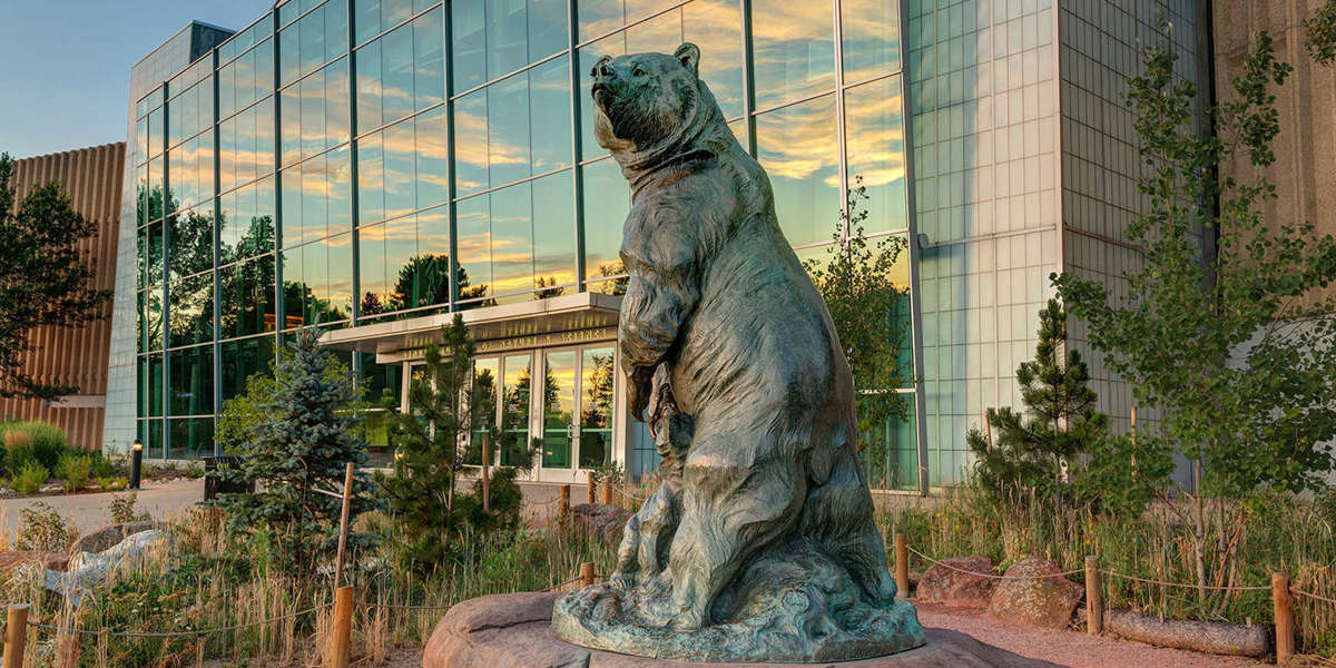 Free Days and Nights