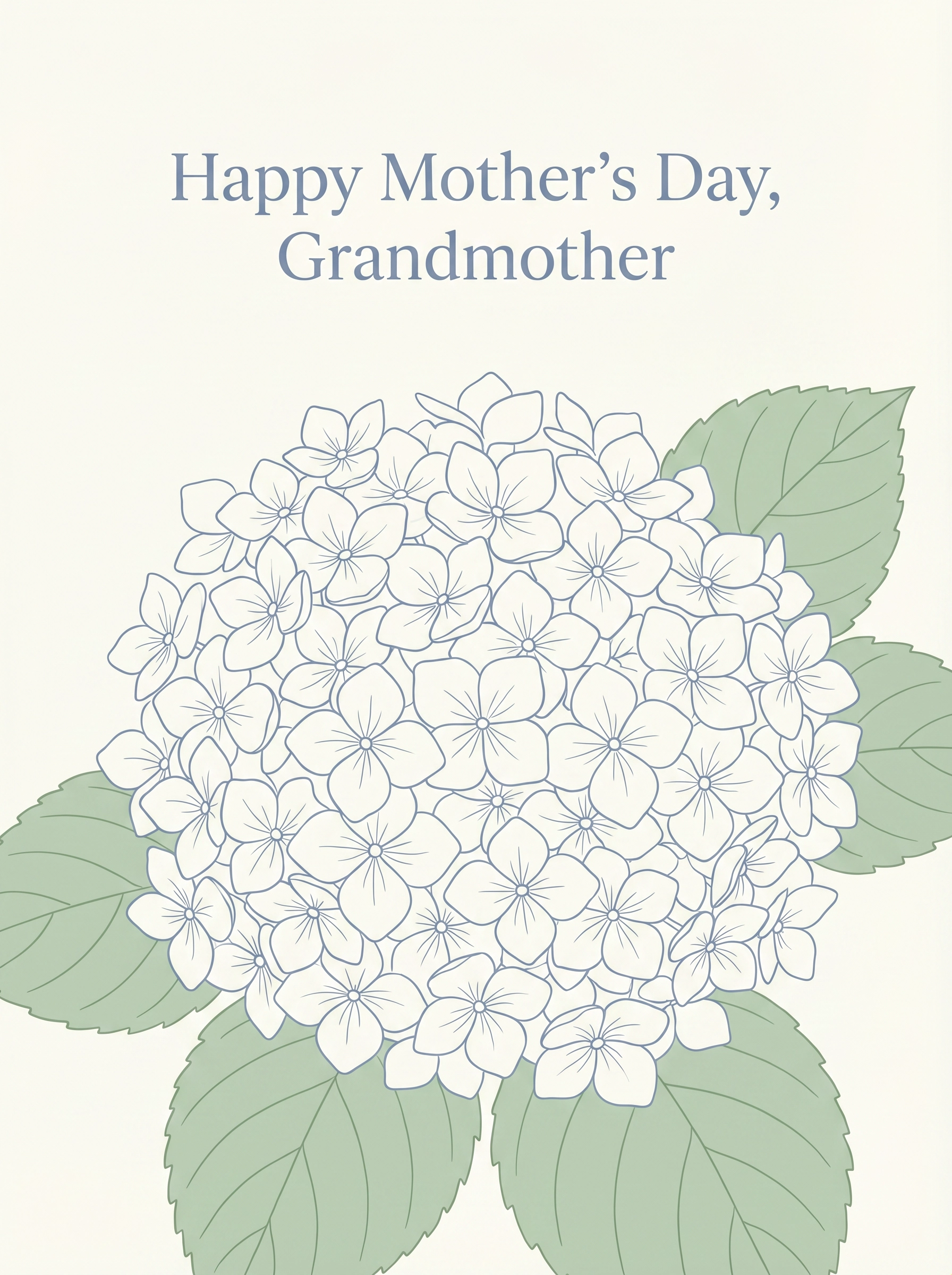 Grandma Hydrangea