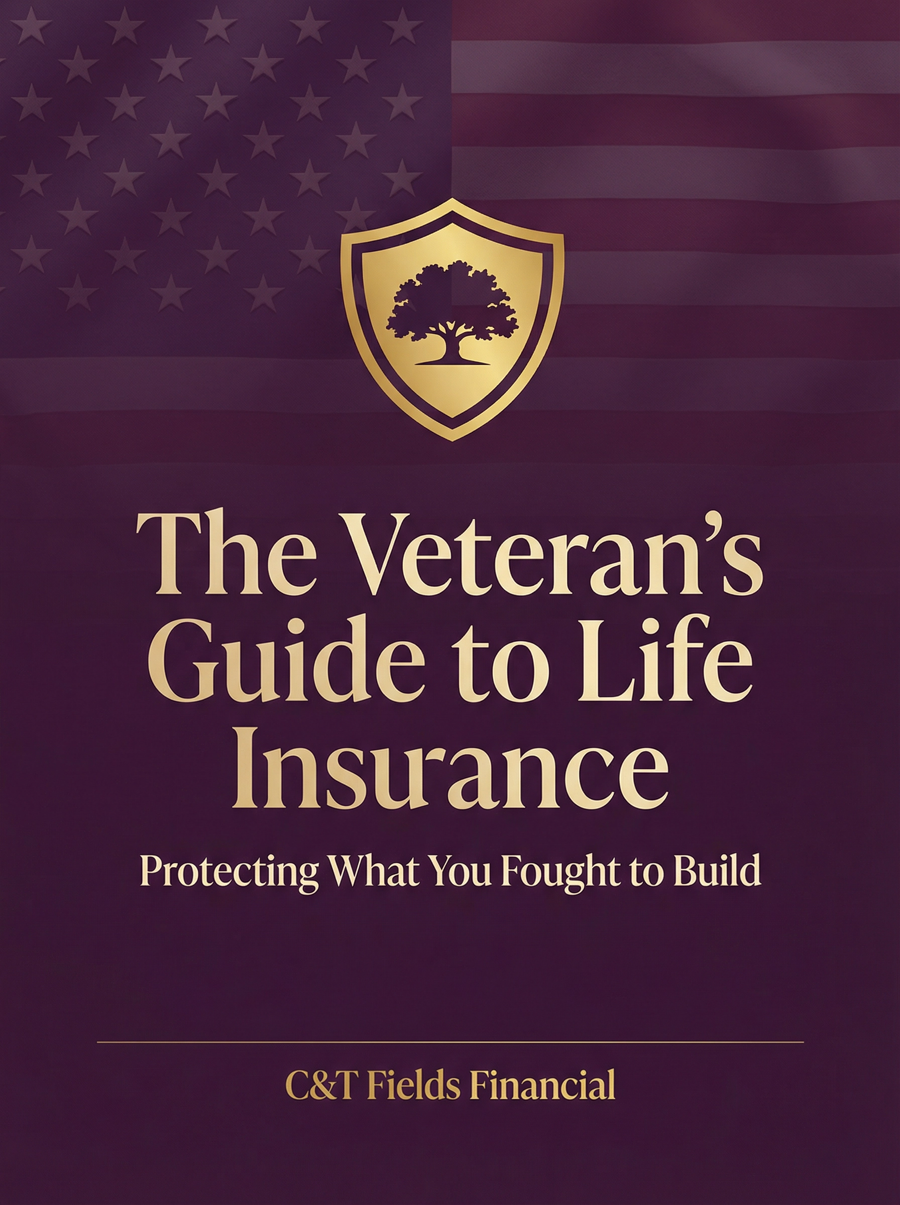 The Veteran's Guide to Life Insurance