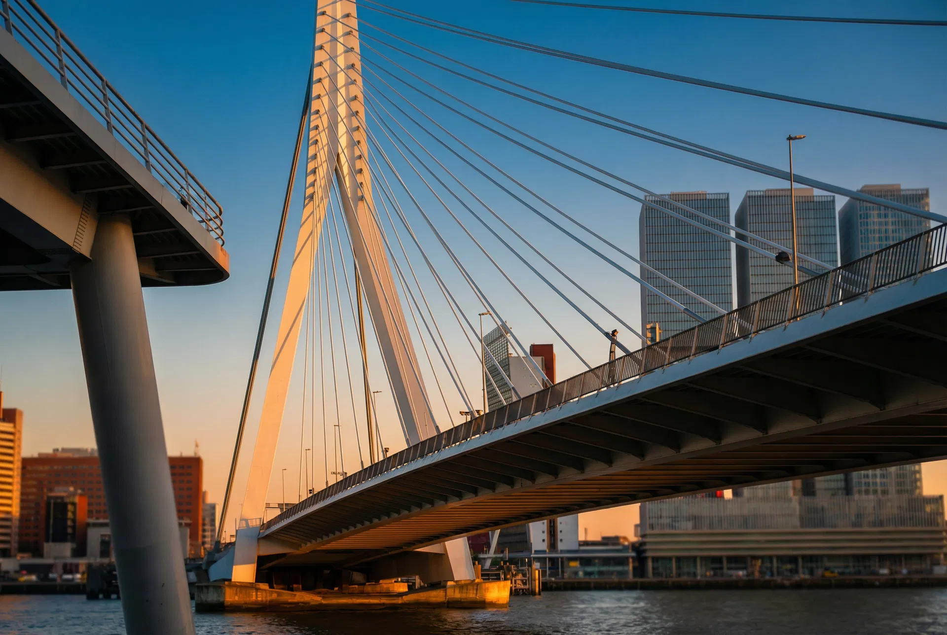 Erasmus Bridge Rotterdam