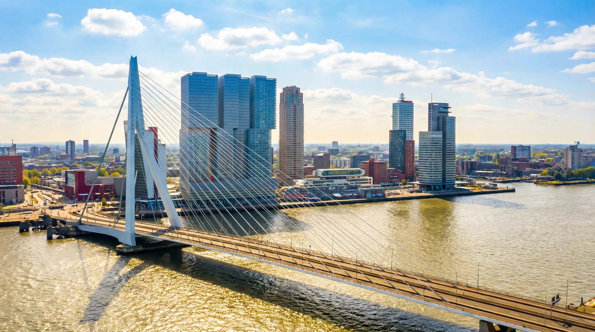 Rotterdam skyline