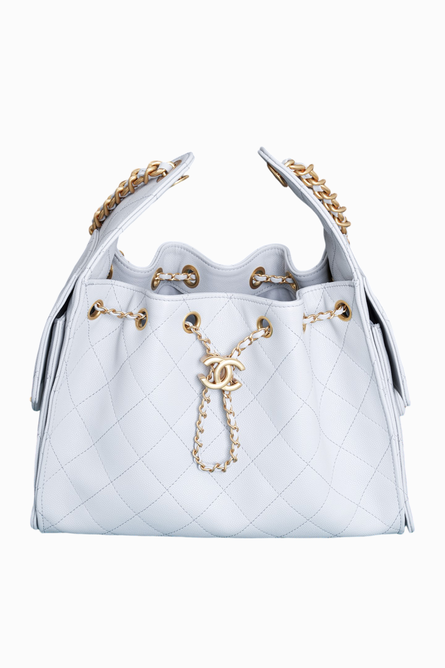 25C Hobo Lychee Skin Platinum & Small