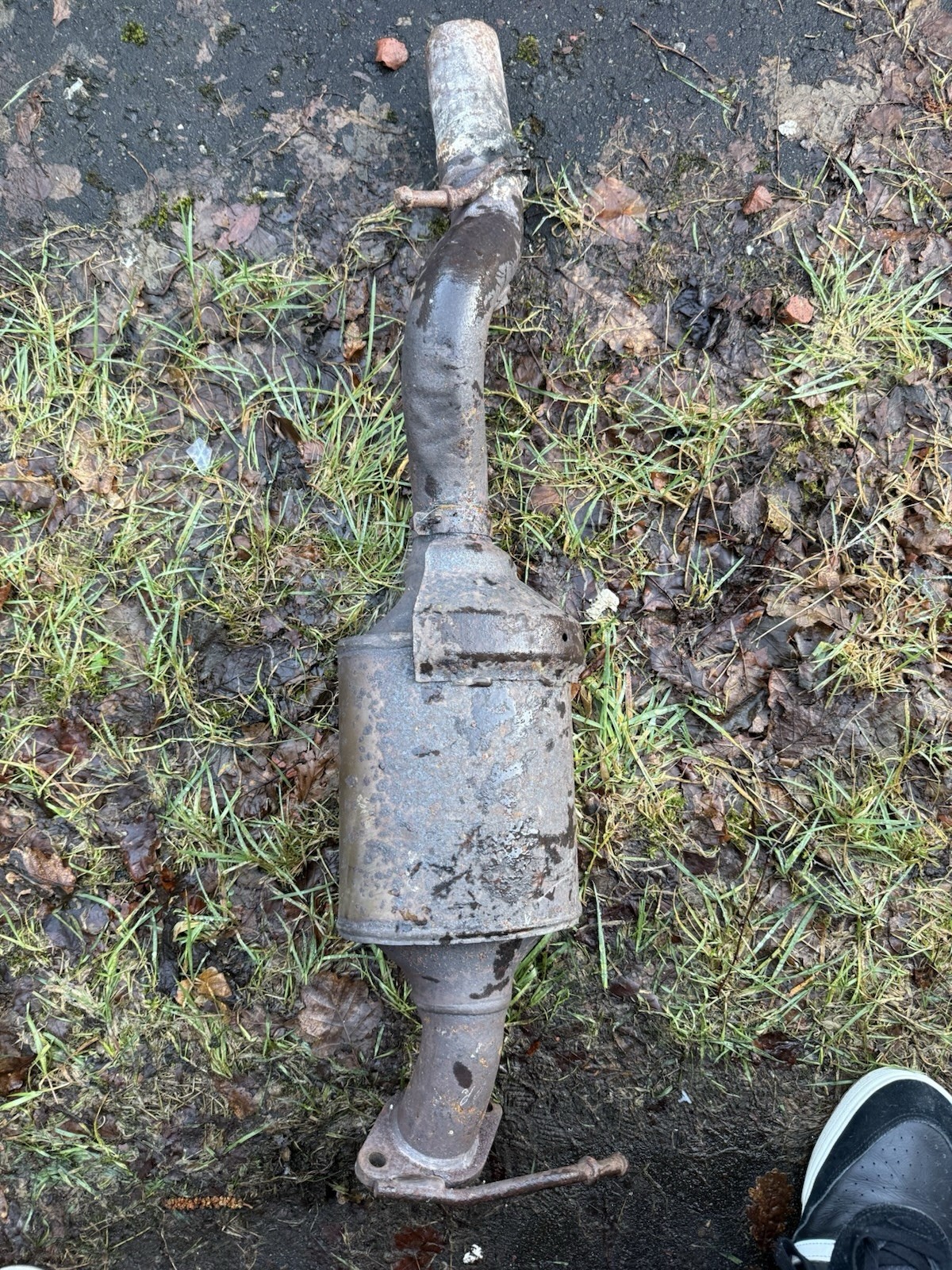 Ford Fiesta St150 Cat