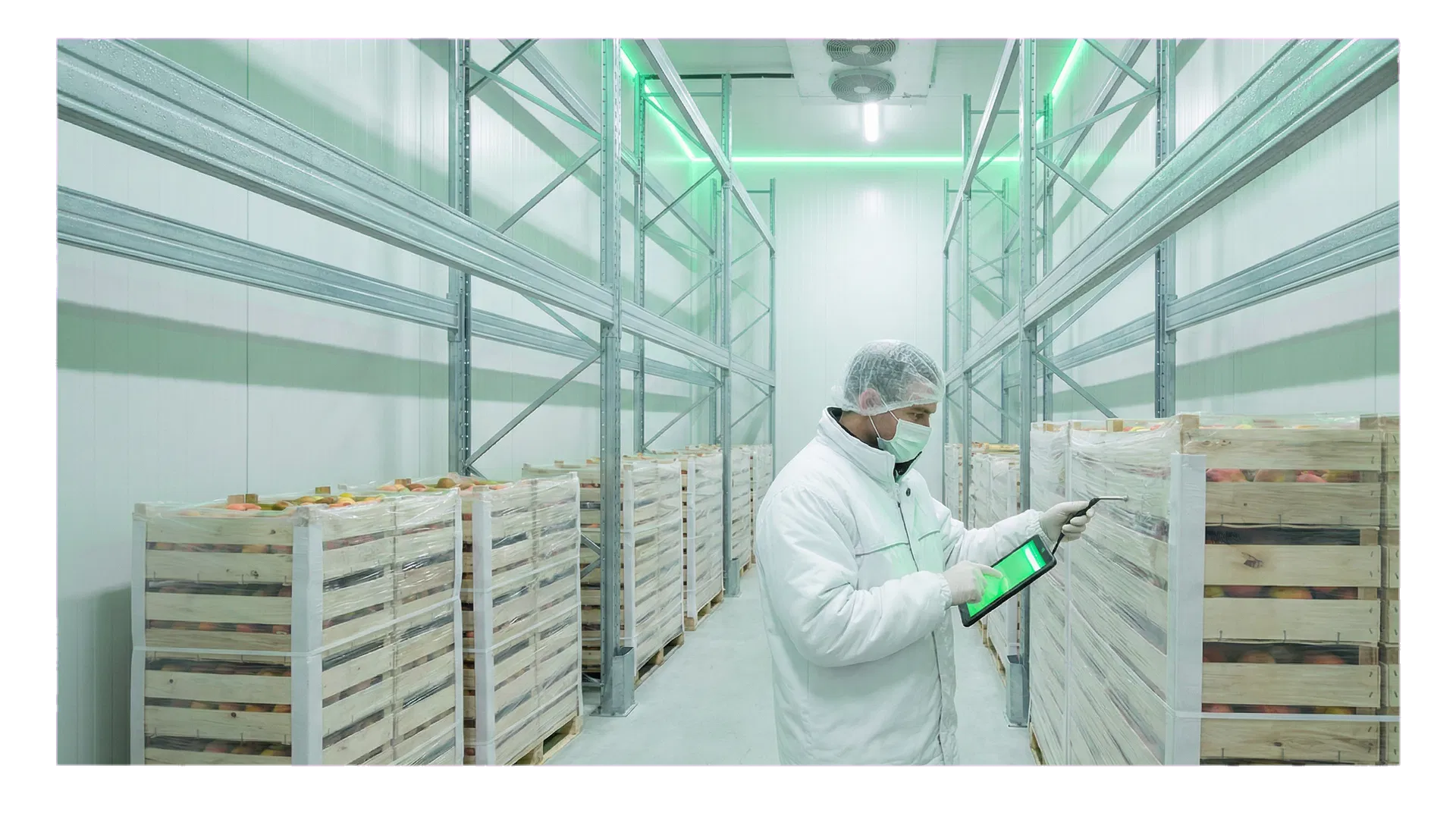 Hệ thống kho lạnh và kiểm soát cold-chain của E-foods