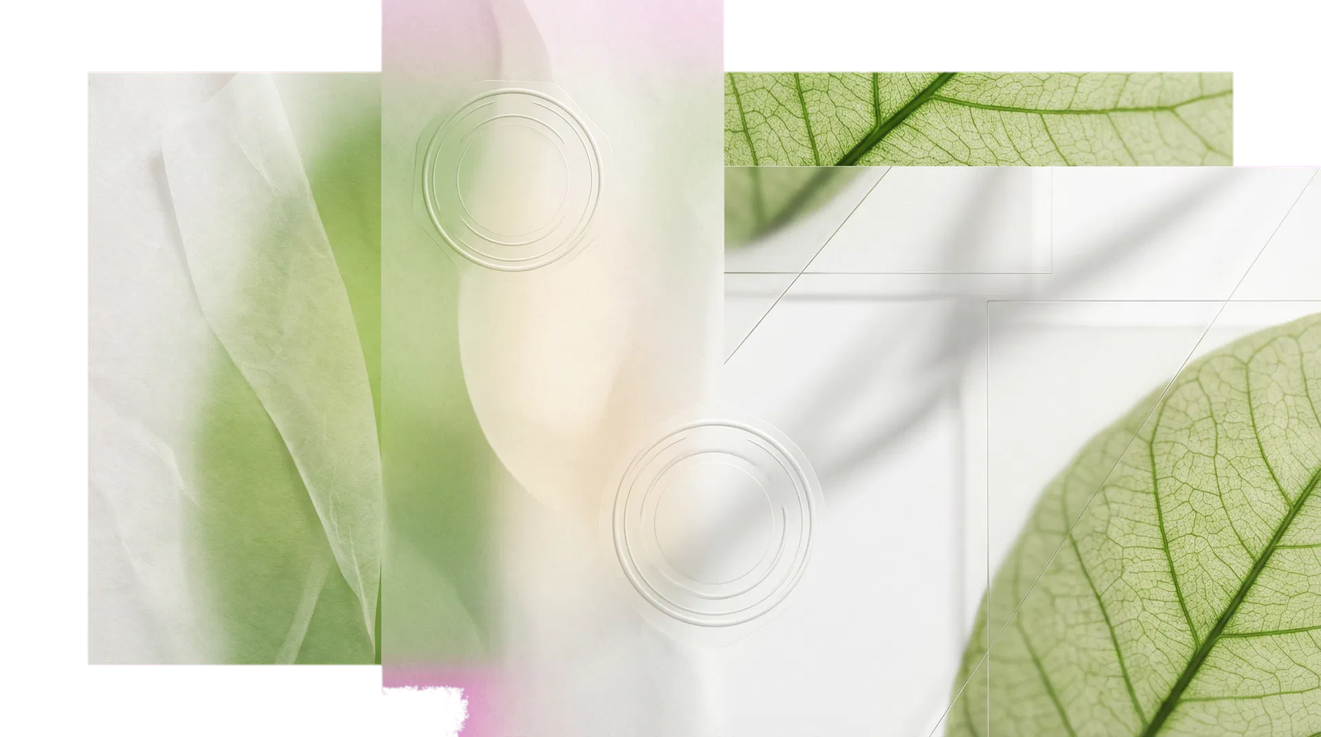 Hình ảnh gợi tả tiêu chuẩn chất lượng và chứng nhận quốc tế của E-foods