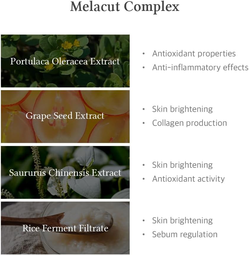 Dr.Althea 15% Niacinamide Purity Serum - 15% Niacinamide included, Overall skintone and texture improvement, Pore care, Serum control with Zinc. Vegan formula, Korean skincare 2