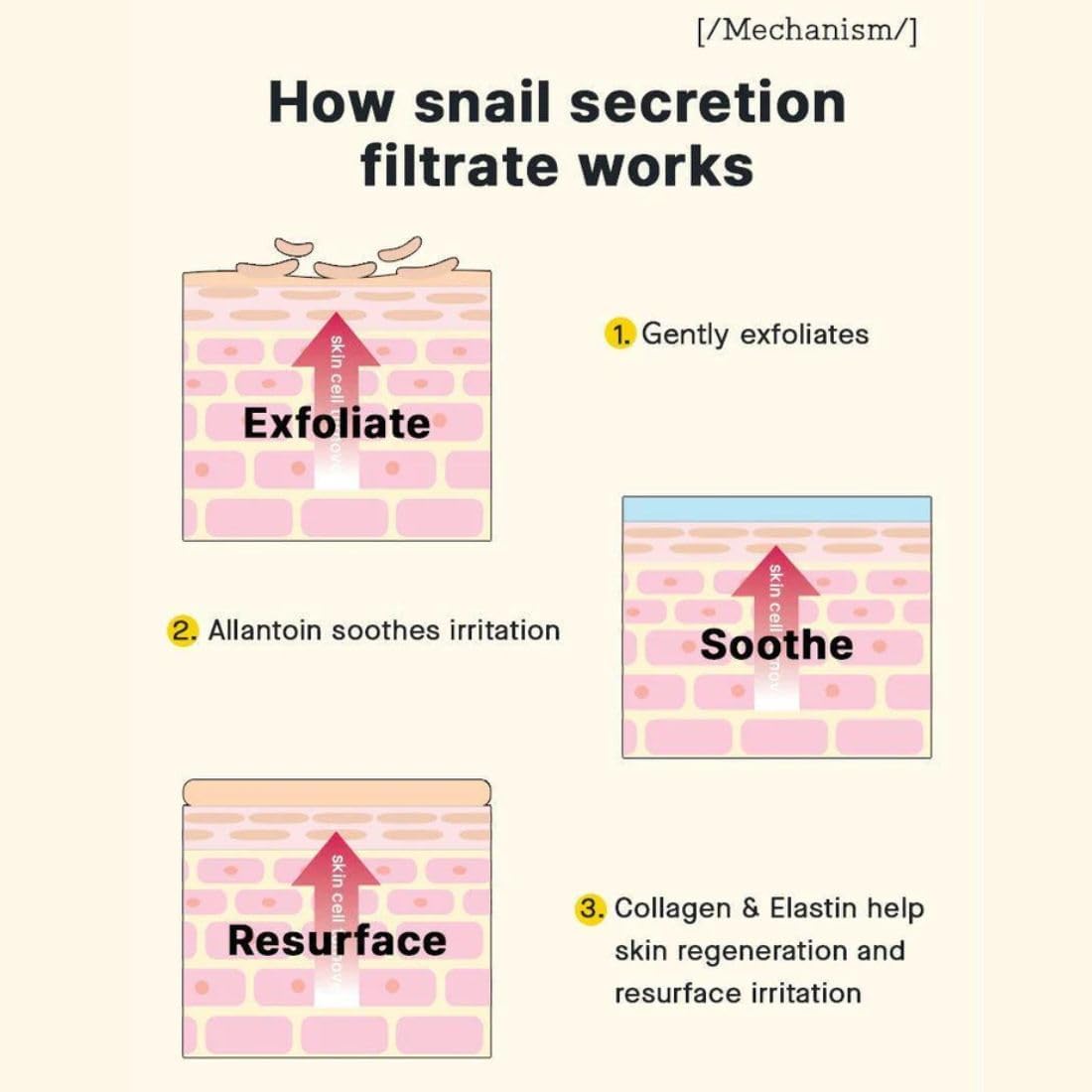 Cosrx Advanced Snail 92 All in One Cream 50grams 2