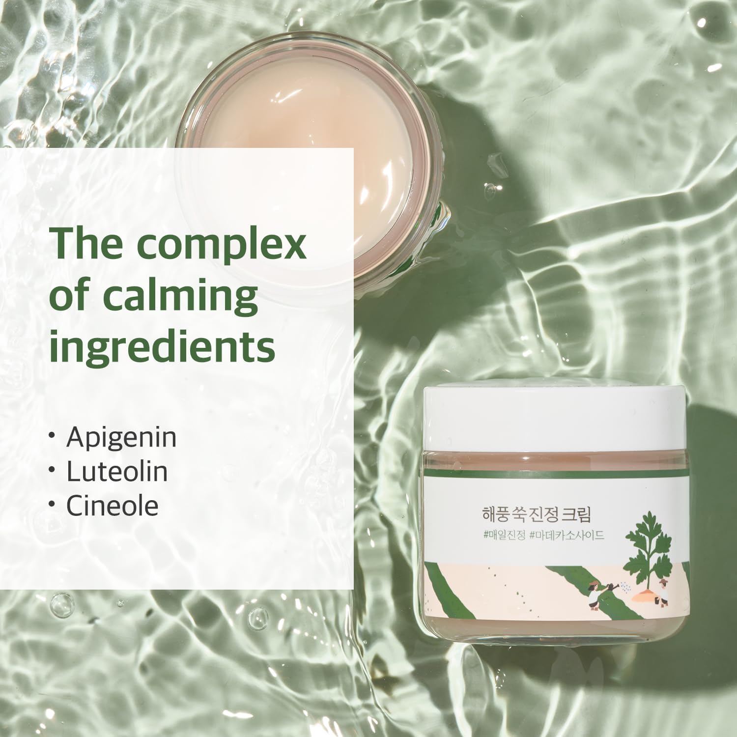 ROUND LAB MUGWORT CALMING CREAM_80ml 3