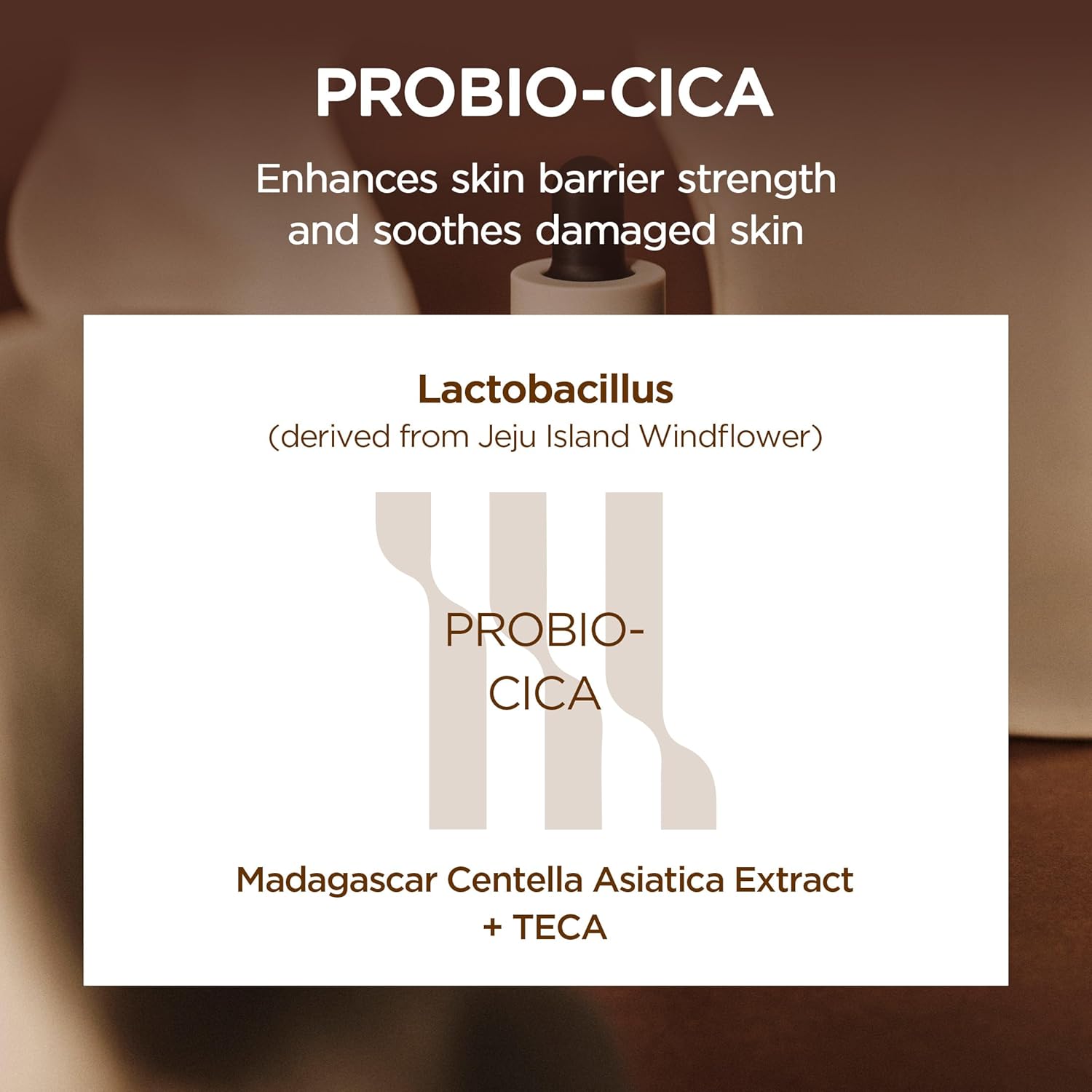 SKIN1004 Madagascar Centella Probio-Cica Intensive Ampoule 95ml 4