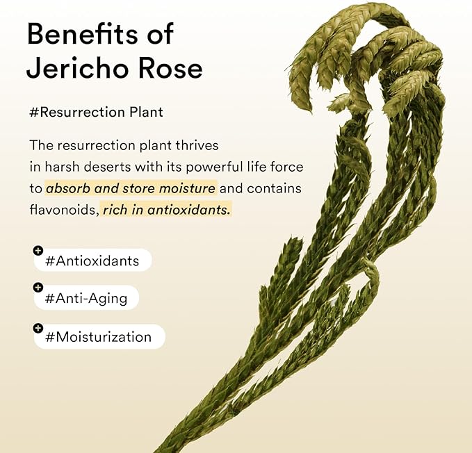 Abib Collagen Eye Patch Jericho Rose Jelly 60 Patches 3