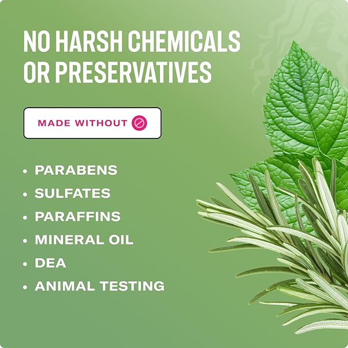 Mielle Organics Rosemary Mint Multi-Vitamin Daily Styling Creme For Curly Hair Definition, Paraben And Silicone Free, 240 ml 2