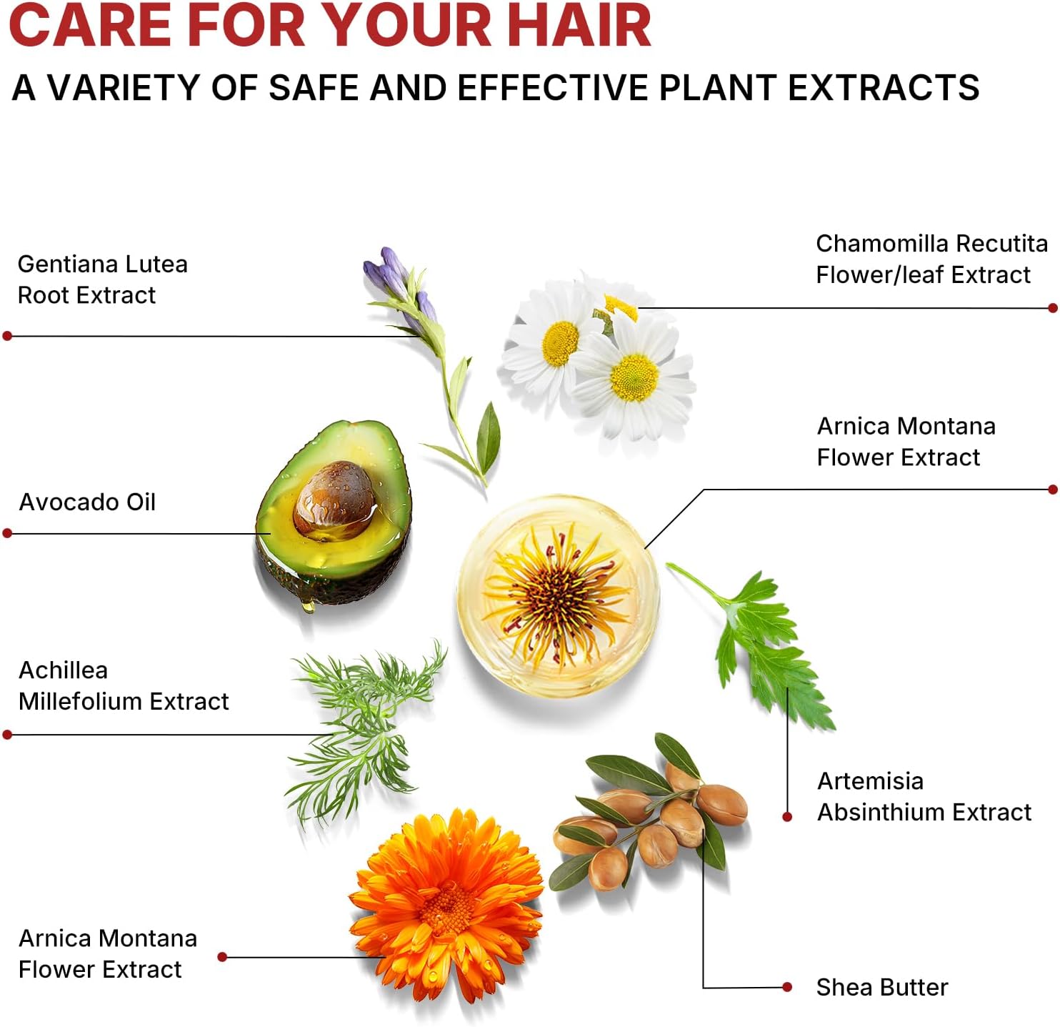 Karseell Argan Oil for Hair Healing Cold Pressed Weightless Moroccan Oil Hair Oil for Dry Damaged Hair 50ml 5