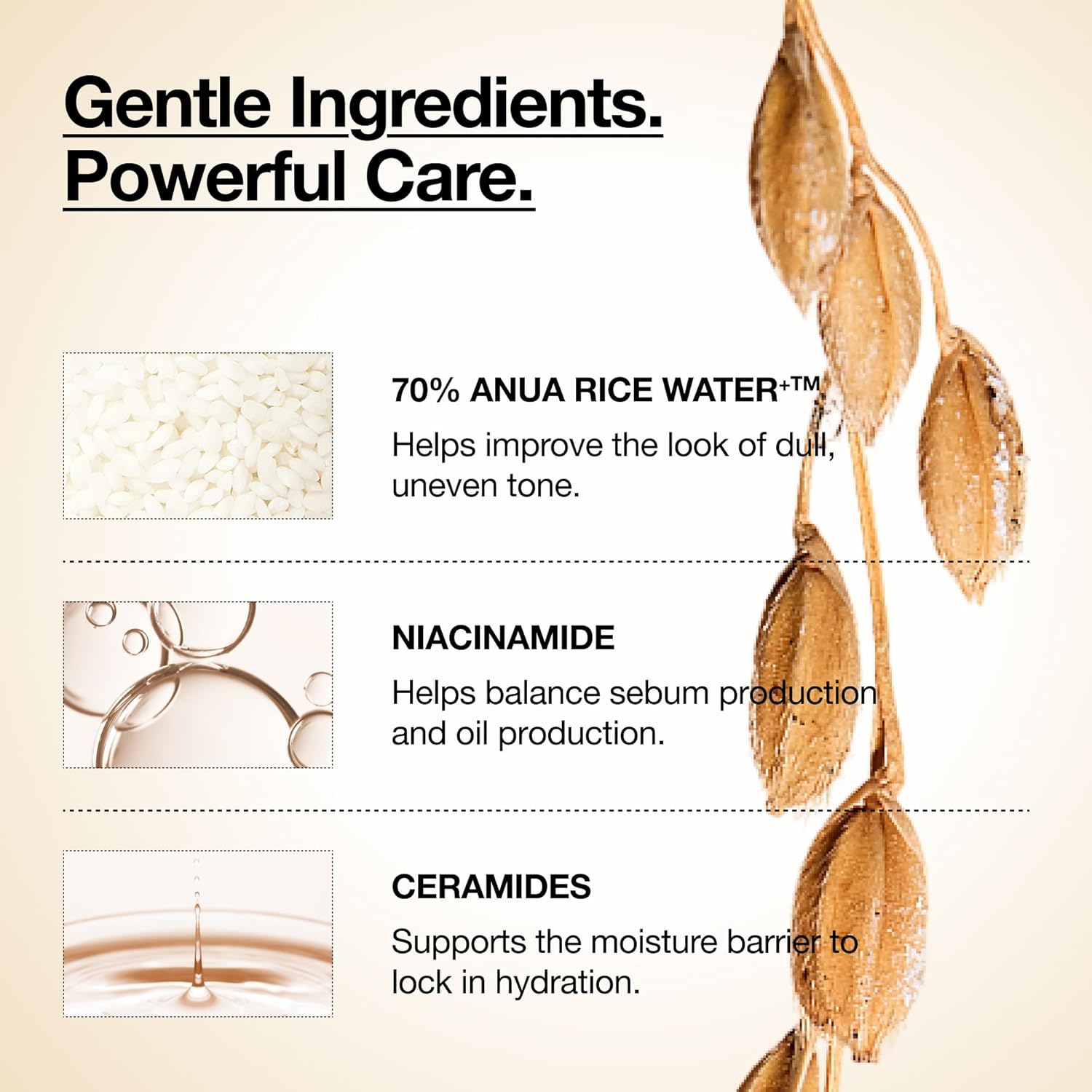 ANUA Rice 70 Glow Milky Toner 3