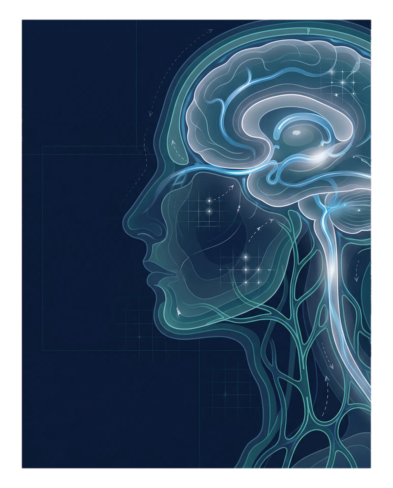 Glymphatic opportunity illustration