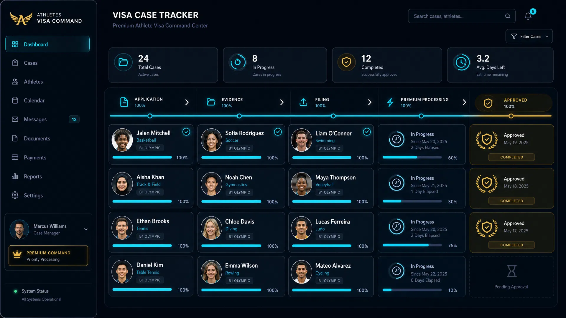 ApexVisa Dashboard Preview