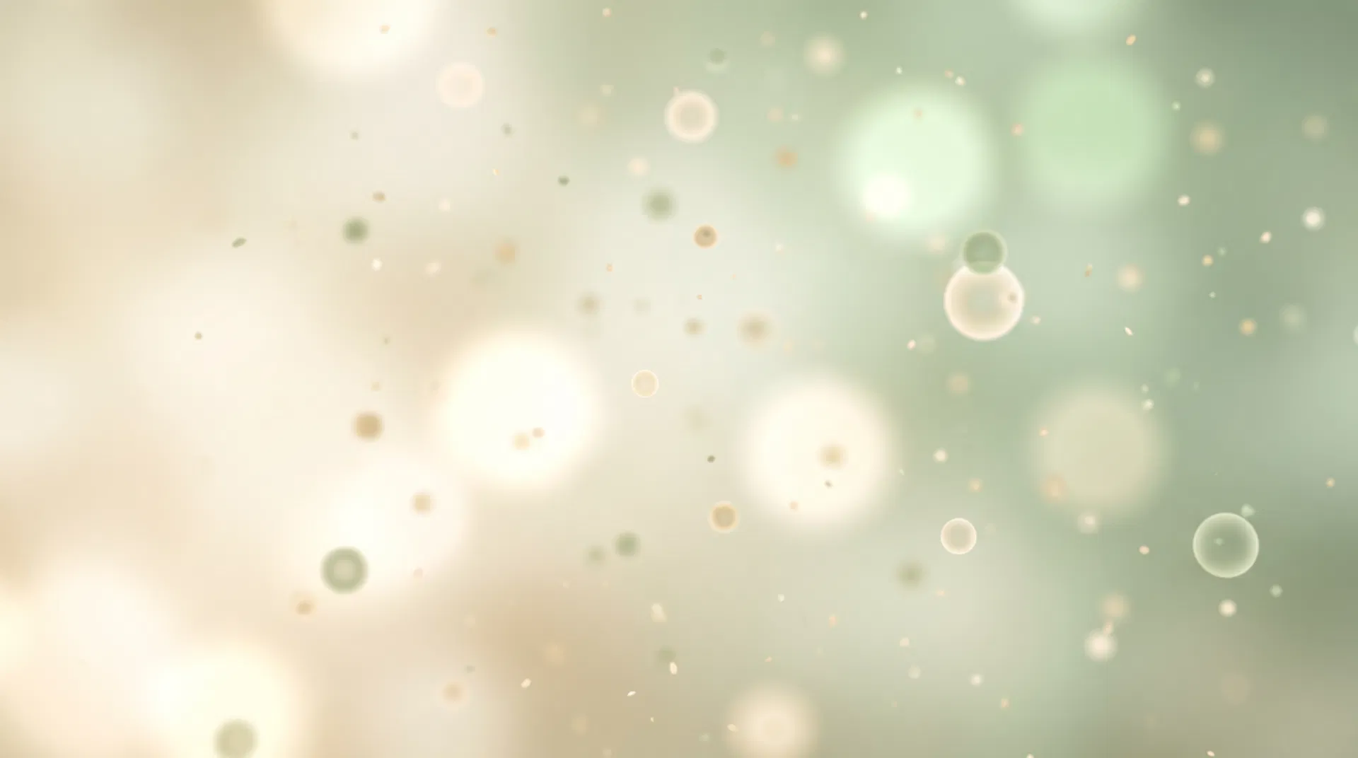 Martin Wong — LearnOFA