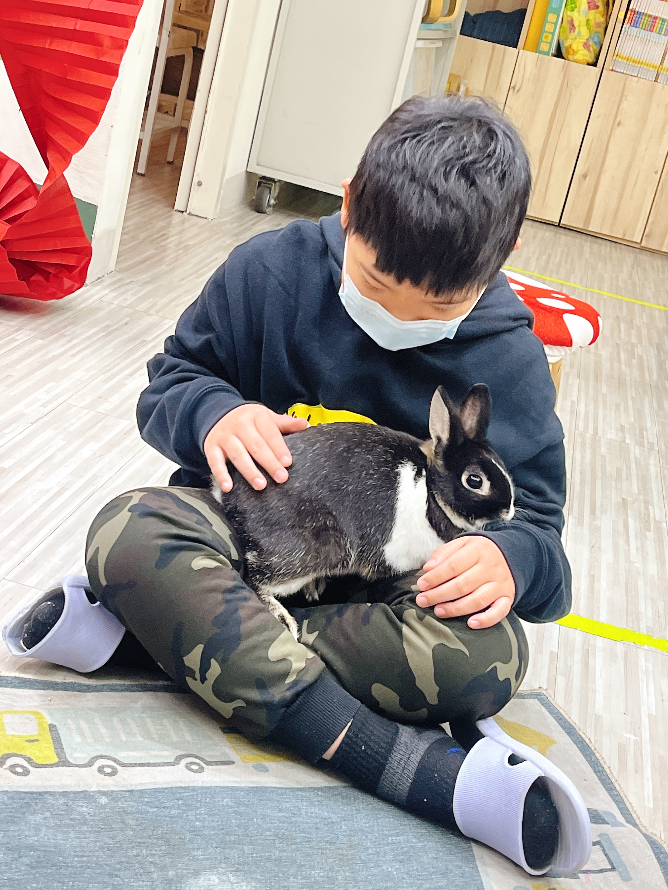 2026-02-09 小小法布爾——動物奧運會