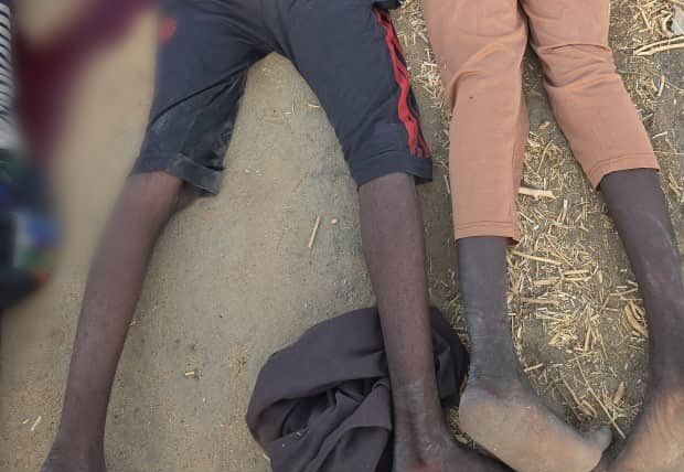 Four Armed Men, Food Packs, and a Sambisa Ambush… What Troops Discovered Will Raise Eyebrows