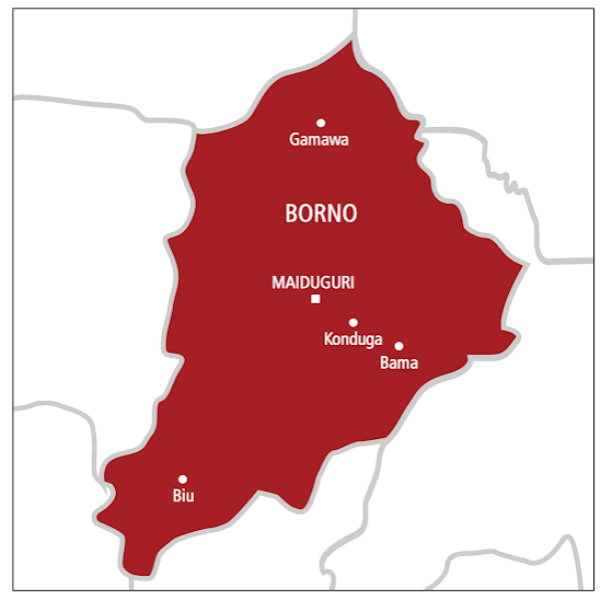 They Came After the Soldiers Left: Fresh Twist in Borno School Attack Raises Questions