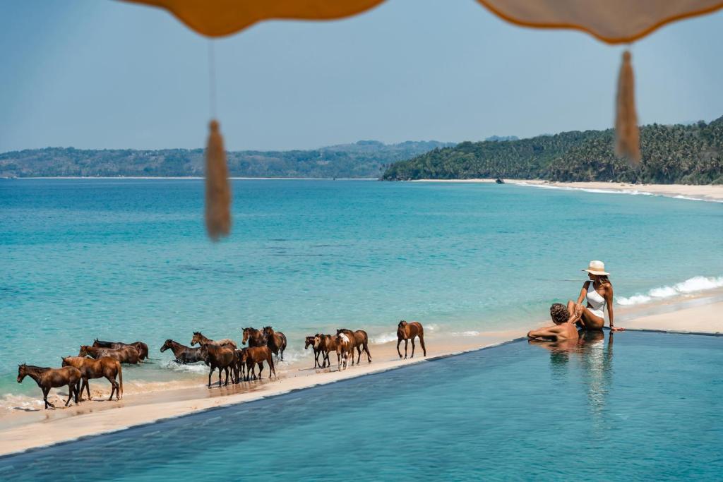Nihi Sumba — Pool