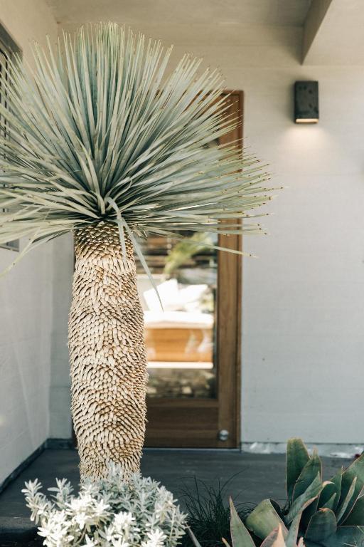 The Surfrider Malibu — Room
