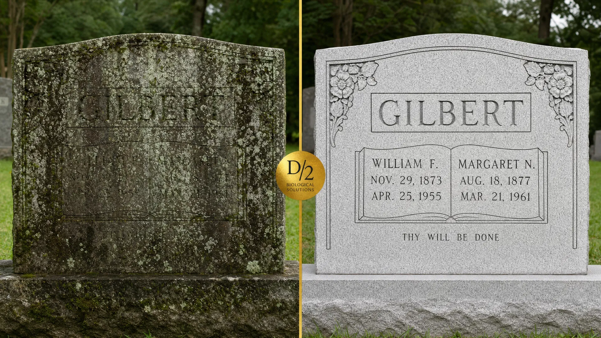 Before and after headstone cleaning comparison