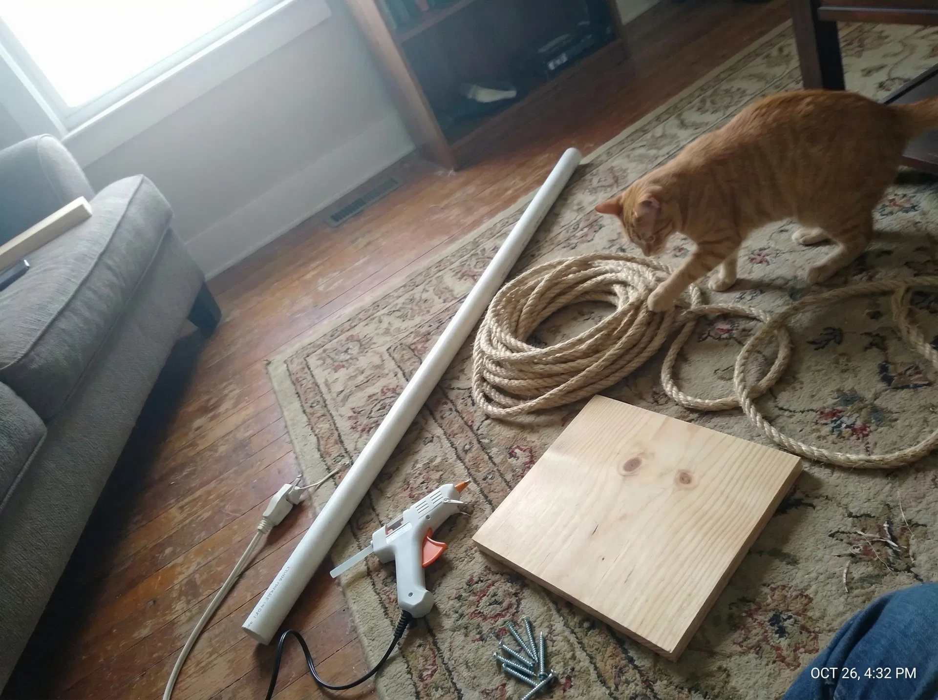 Antes: Cómo Construir un Rascador de Techo para Gatos por Menos de 30&nbsp;€ [Guía 2026]