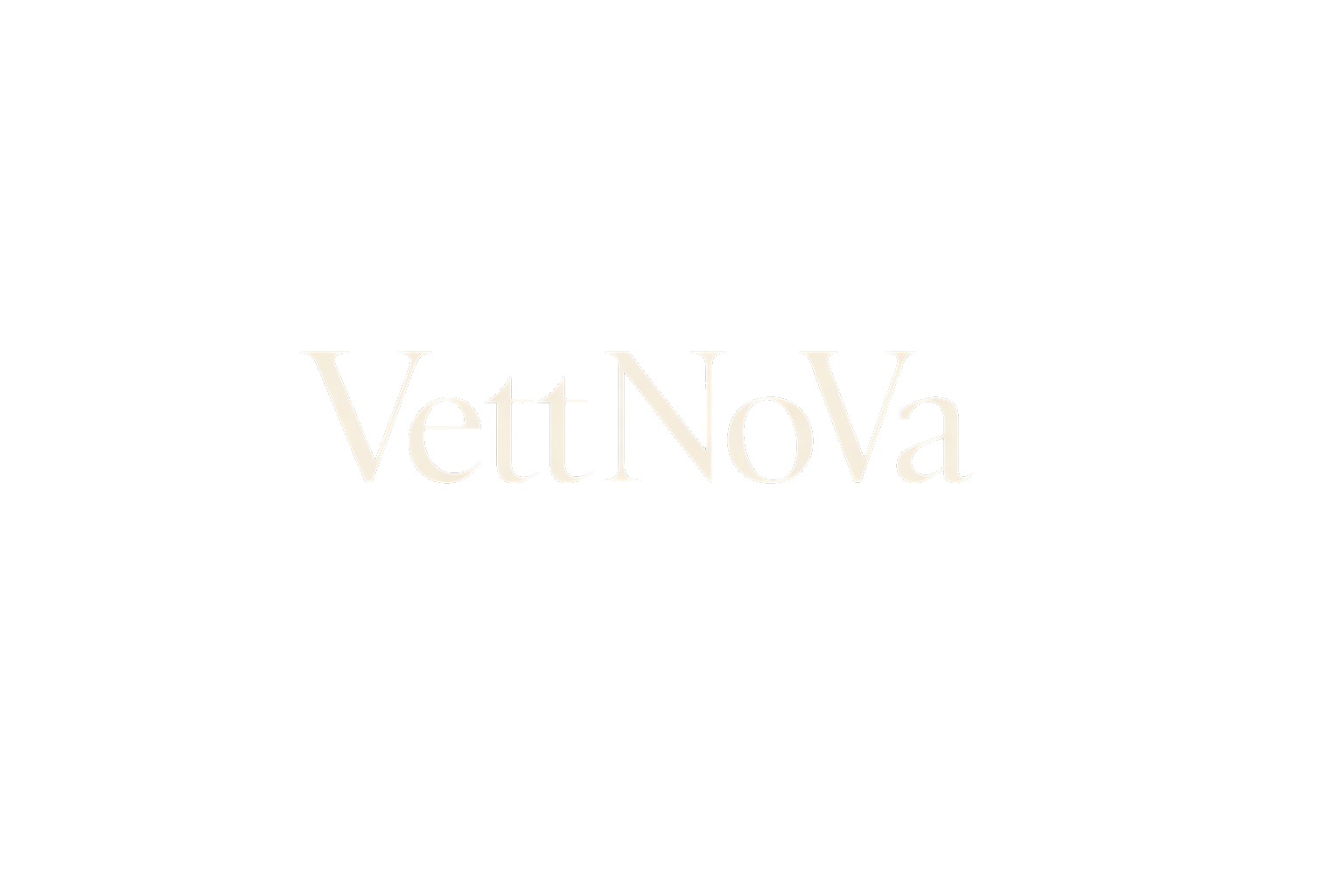VettaRisk