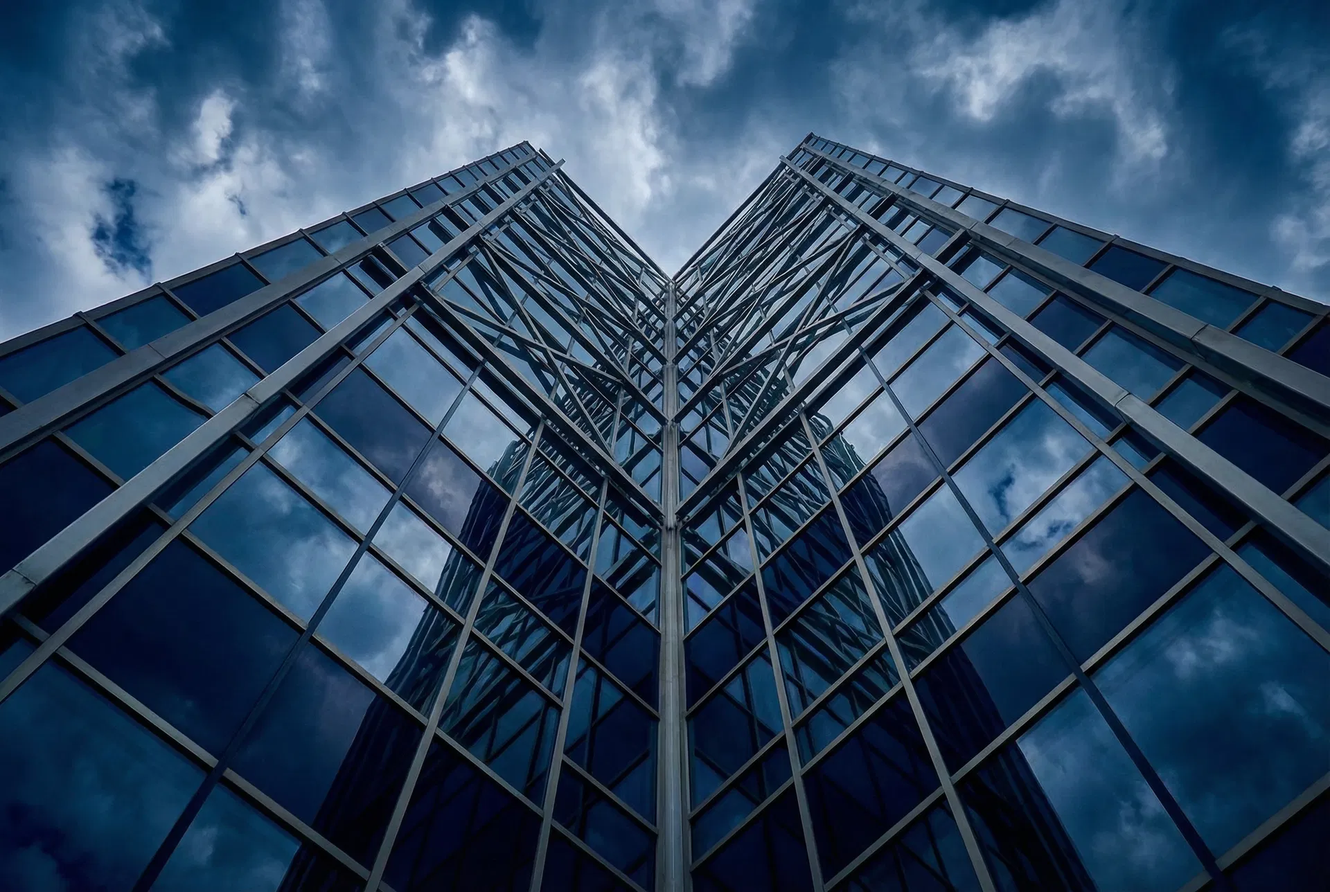 Workplace Rights & Employment Standards