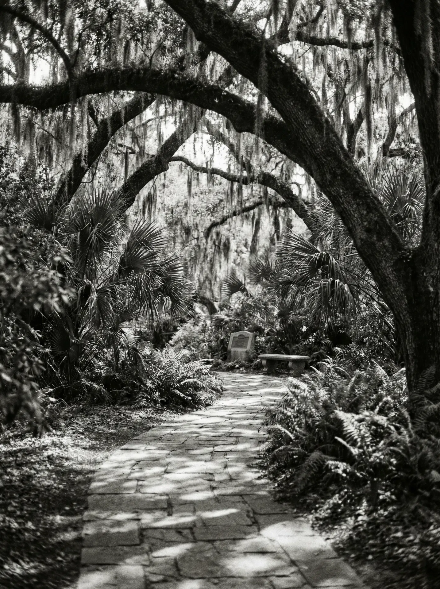 Peaceful garden pathway lined with flowers and greenery — representing the gentle care of Cypress First Call services