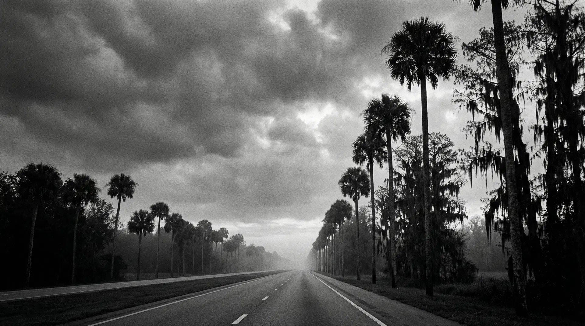 Long Florida highway stretching into the distance at dawn — representing Cypress First Call's long-distance mortuary transport services across the state