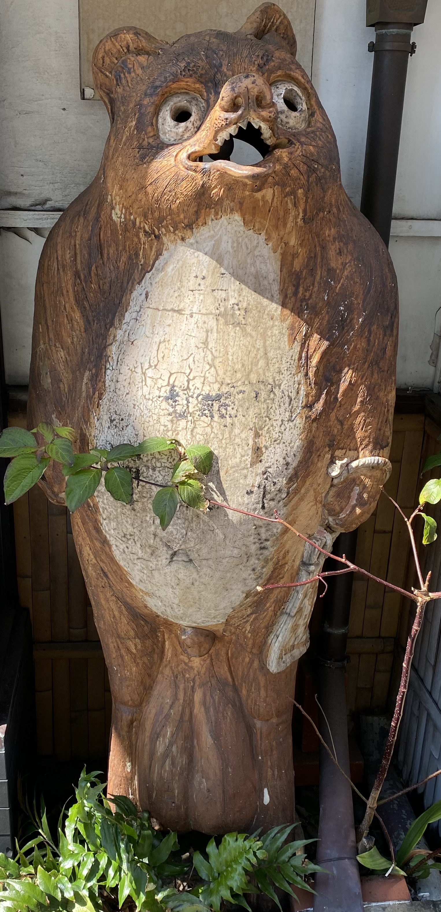 信楽焼（狸庵 初代）の参考画像