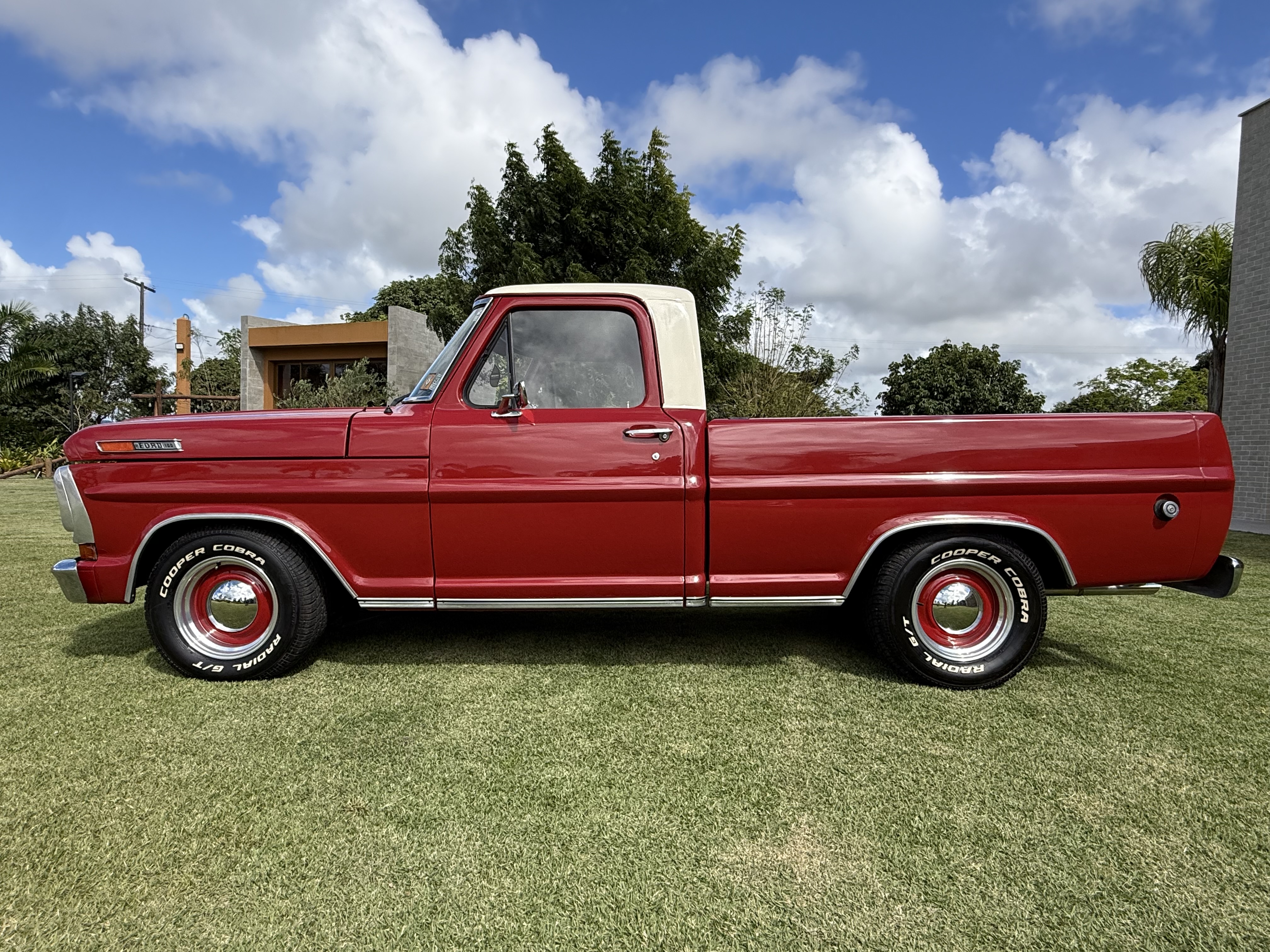 Ford  F100