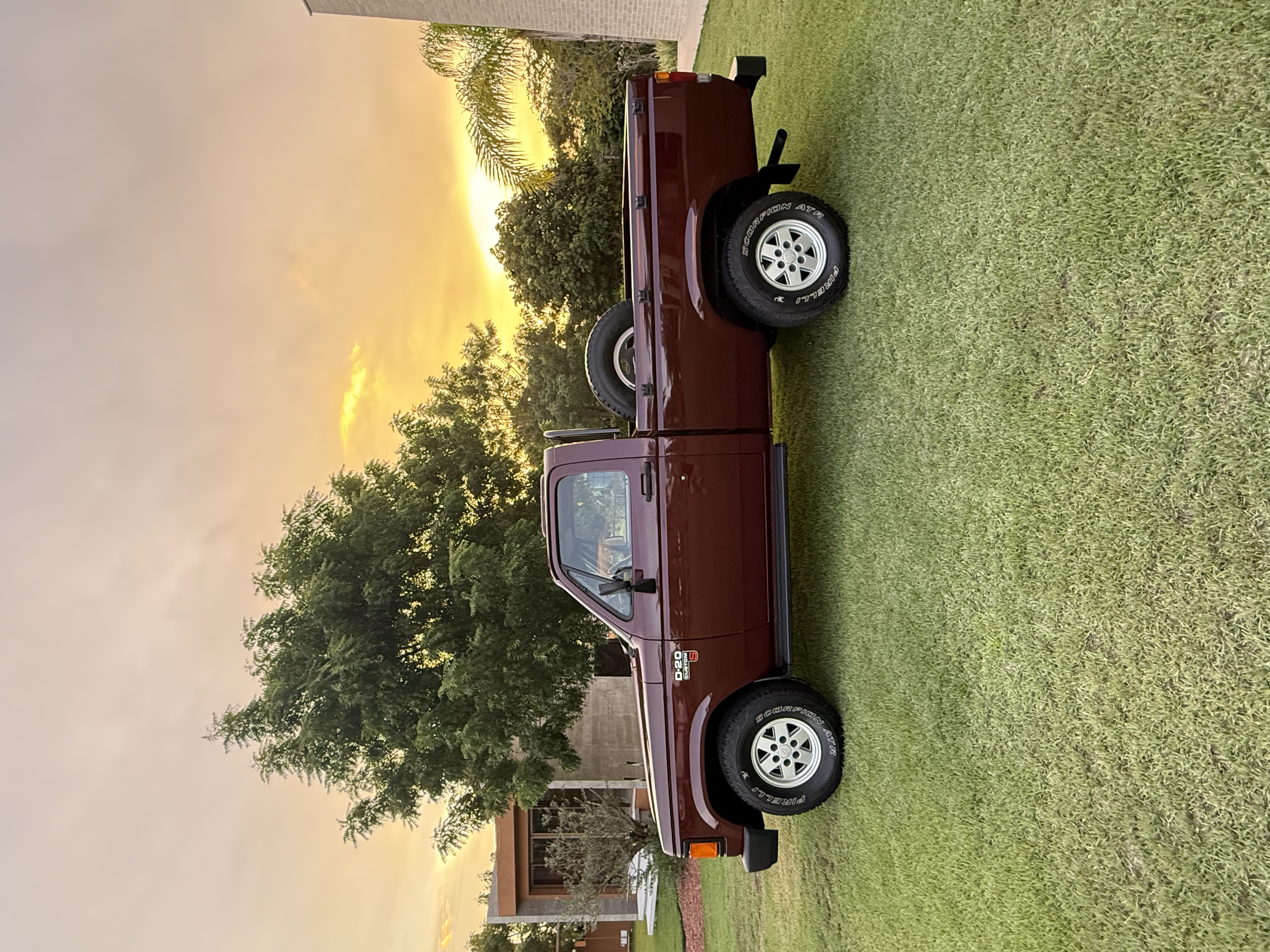 Chevrolet  D20 