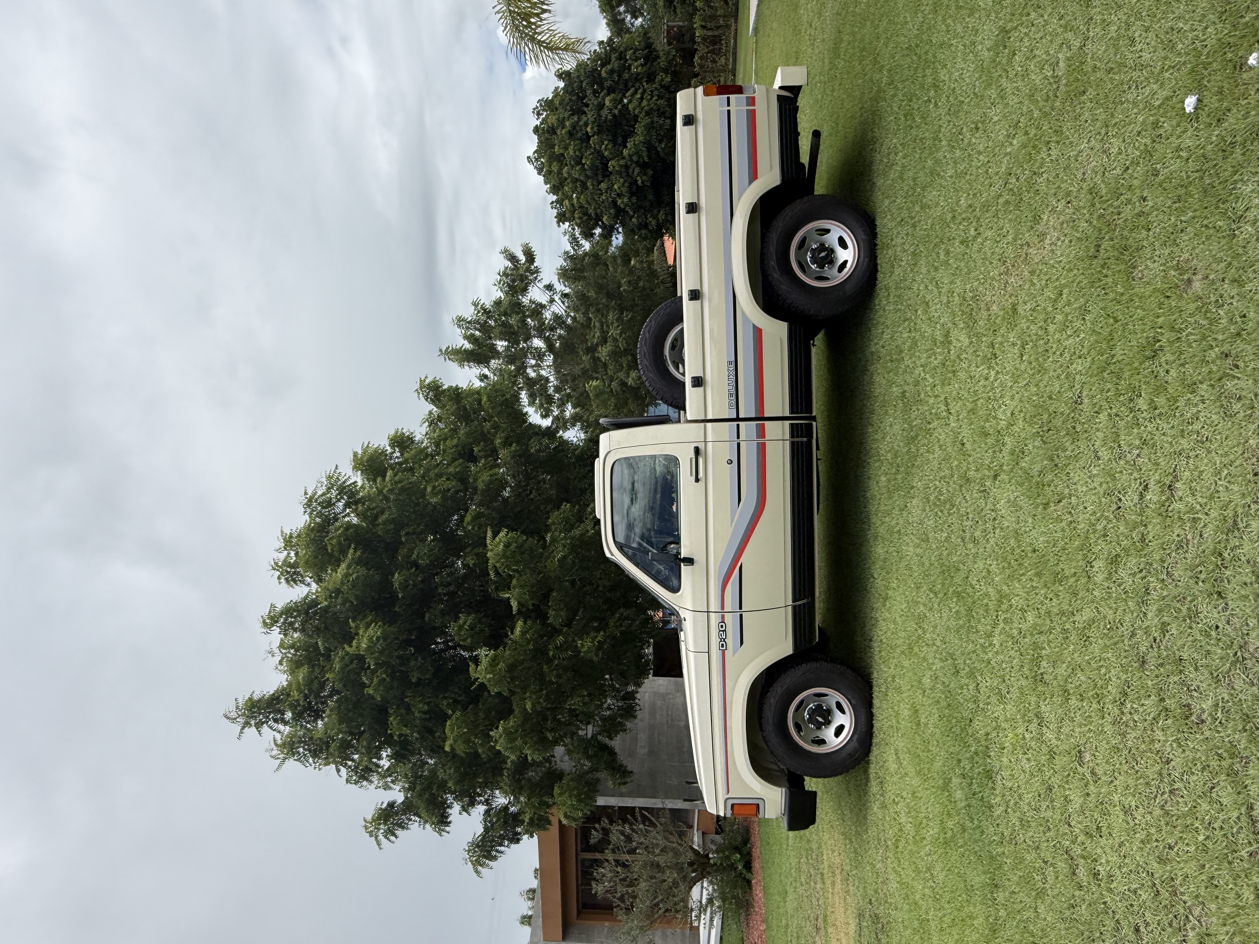 Chevrolet  D20