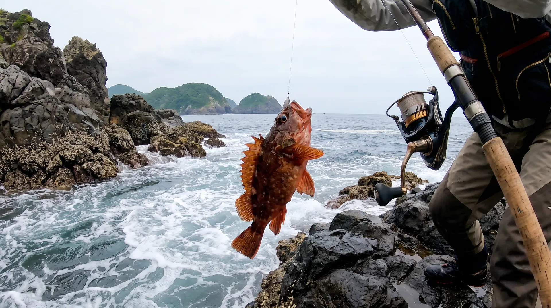 アラカブ（カサゴ）(Rockfish) - 海釣りで狙える魚、難易度初心者向け
