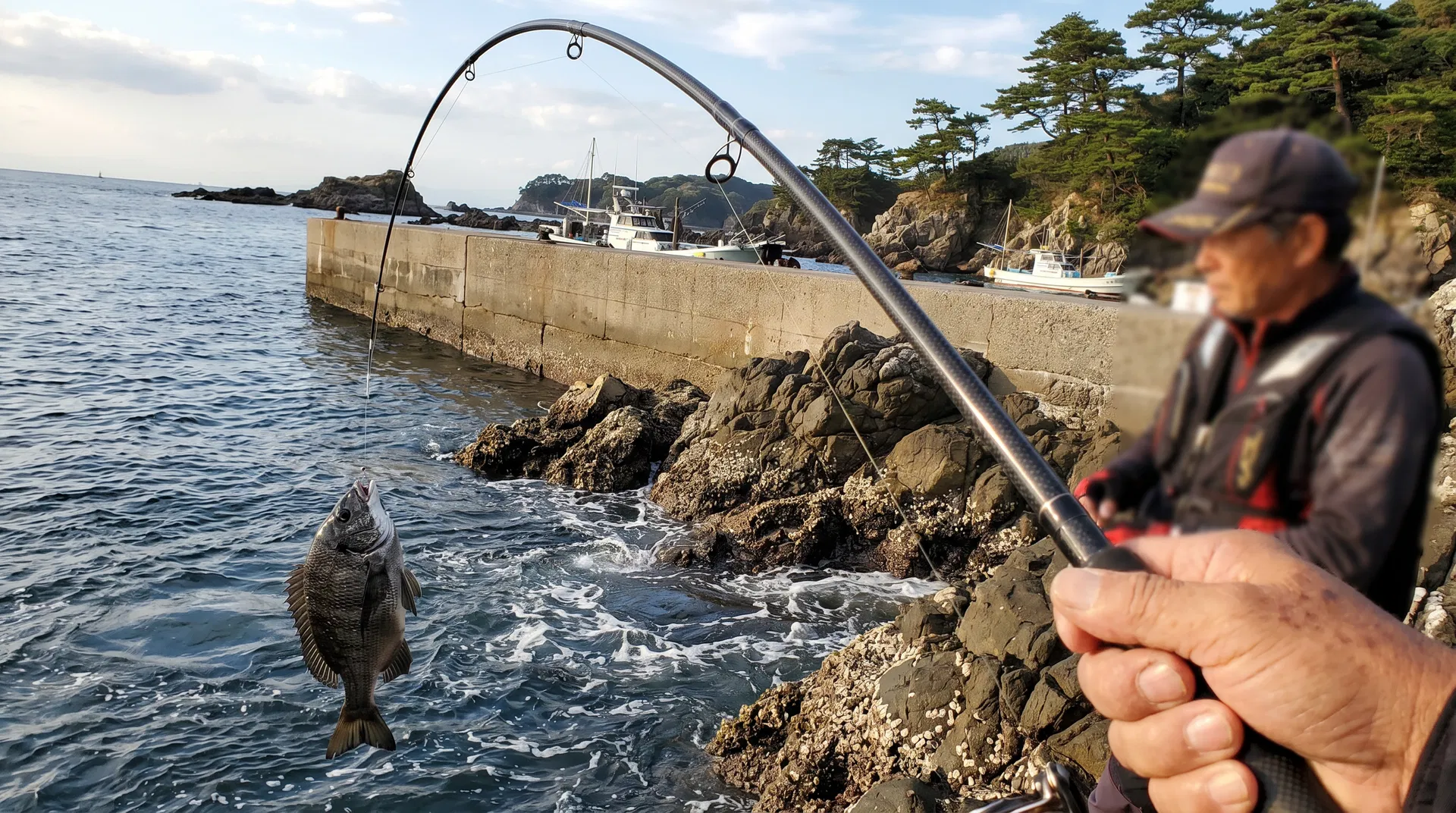 チヌ（クロダイ）(Black Sea Bream) - 海釣りで狙える魚、難易度中級者向け