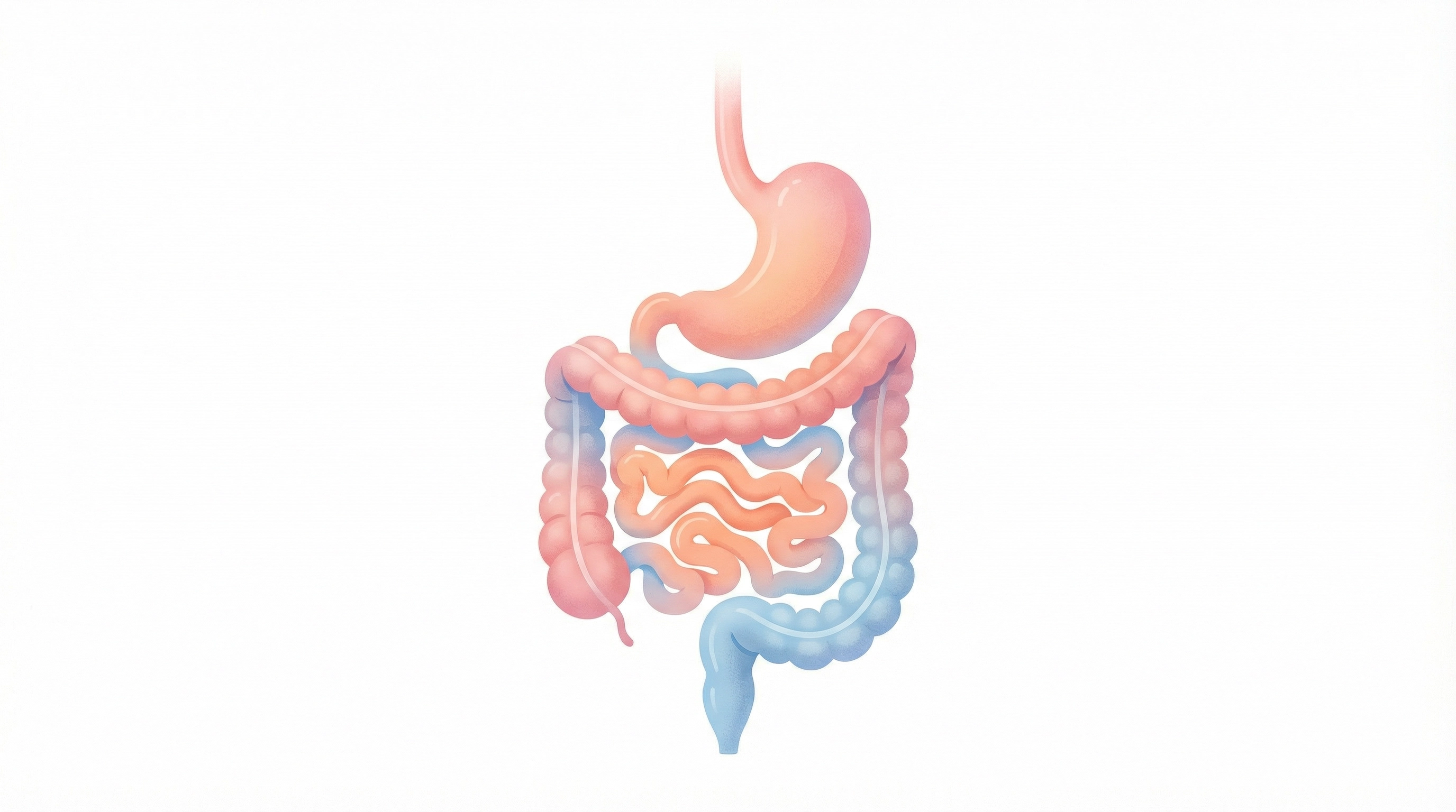 Medical illustration of Gastric & GI Surgery