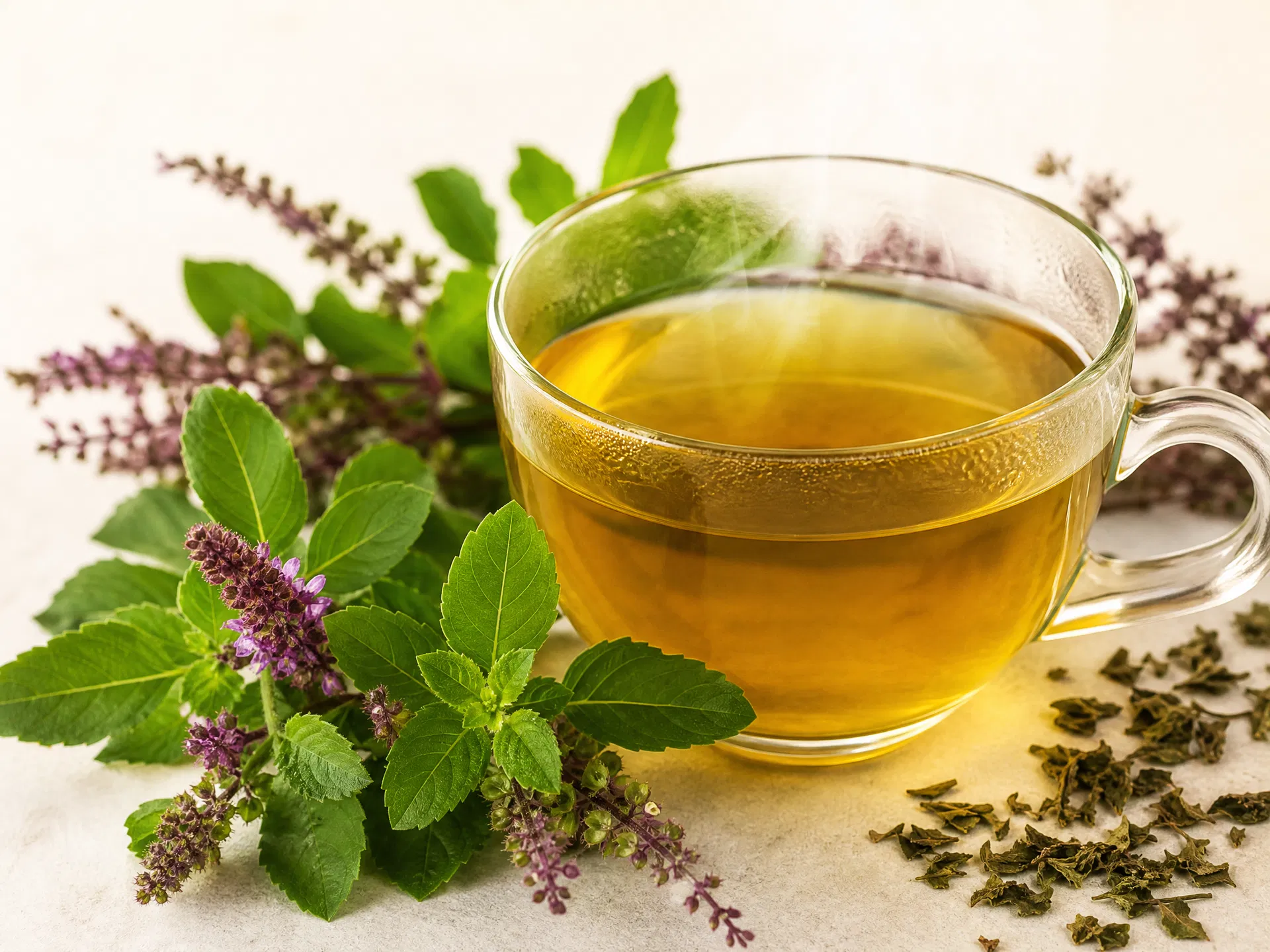Tulsi-Tee (Heiliges Basilikum) – frisch aufgebrühter Kräutertee in Glastasse mit Ocimum tenuiflorum Blättern