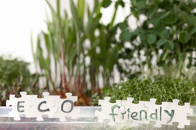 Radish microgreens with seeds and roots germination of seeds at home