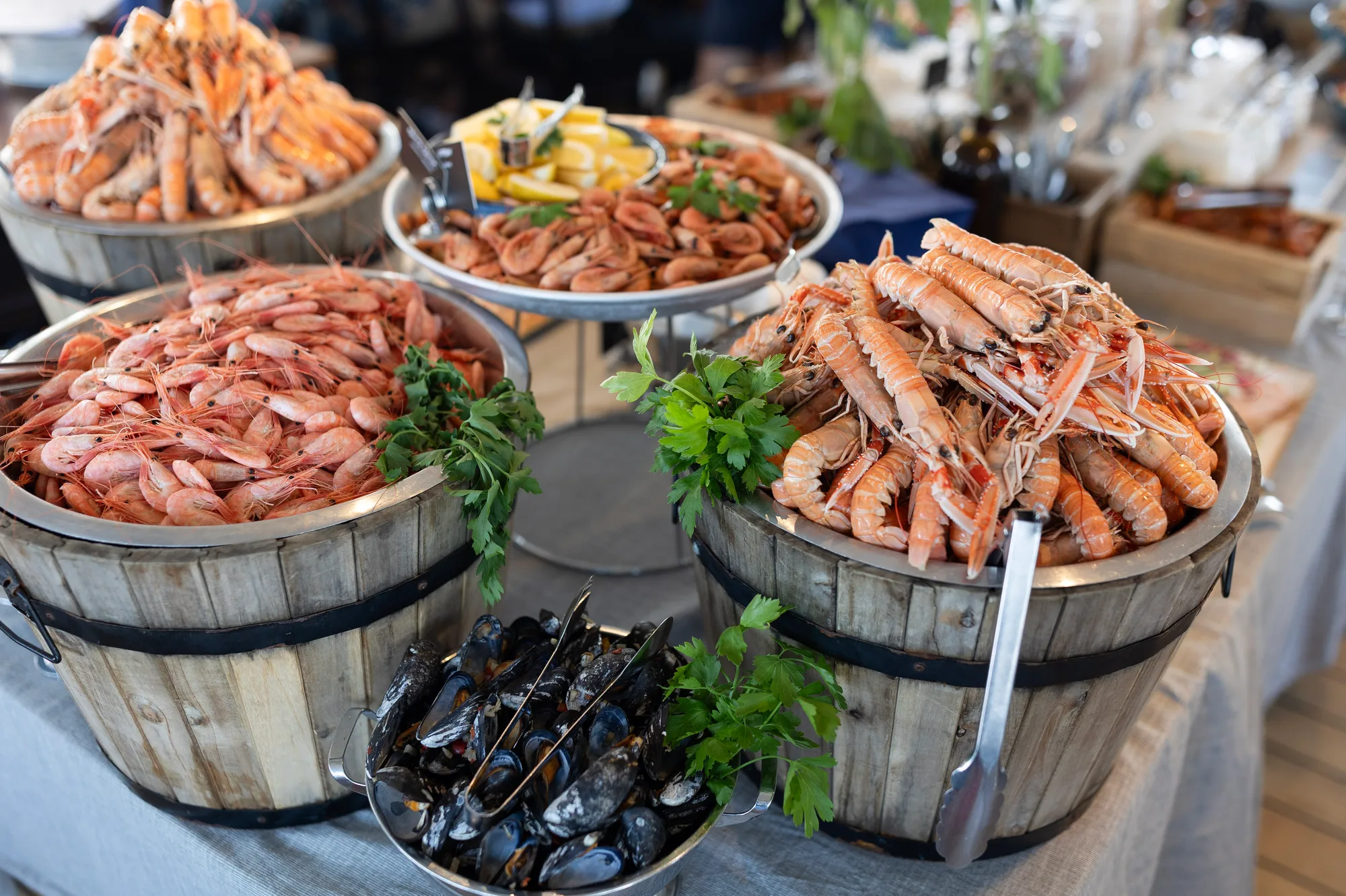 Skaldjurskryssning Göteborg – med show