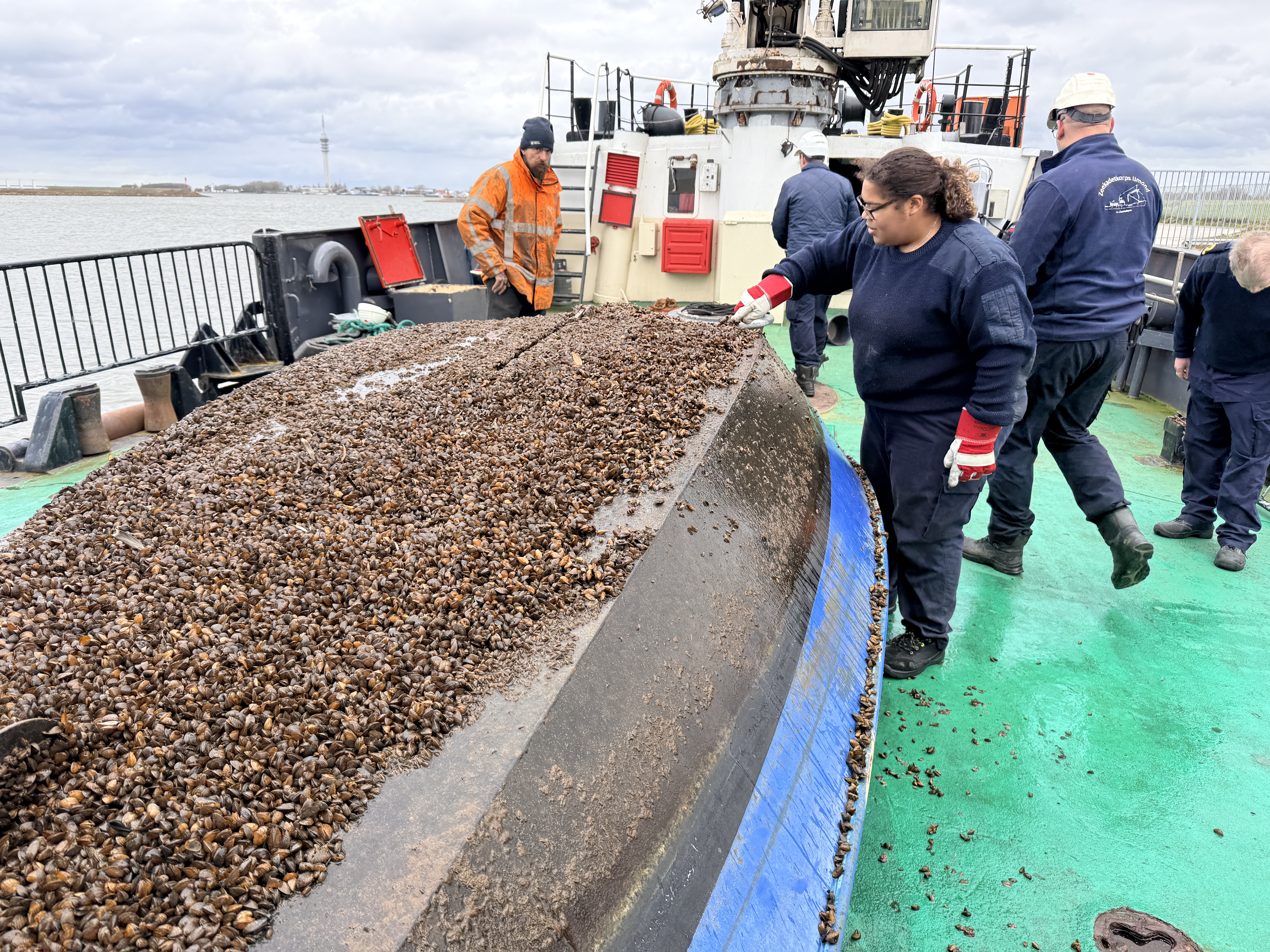 Als zeekadet bereid je je voor - als je dat wilt - op een beroep en carrière in de binnenvaart, zeevaart of koninklijke marine.