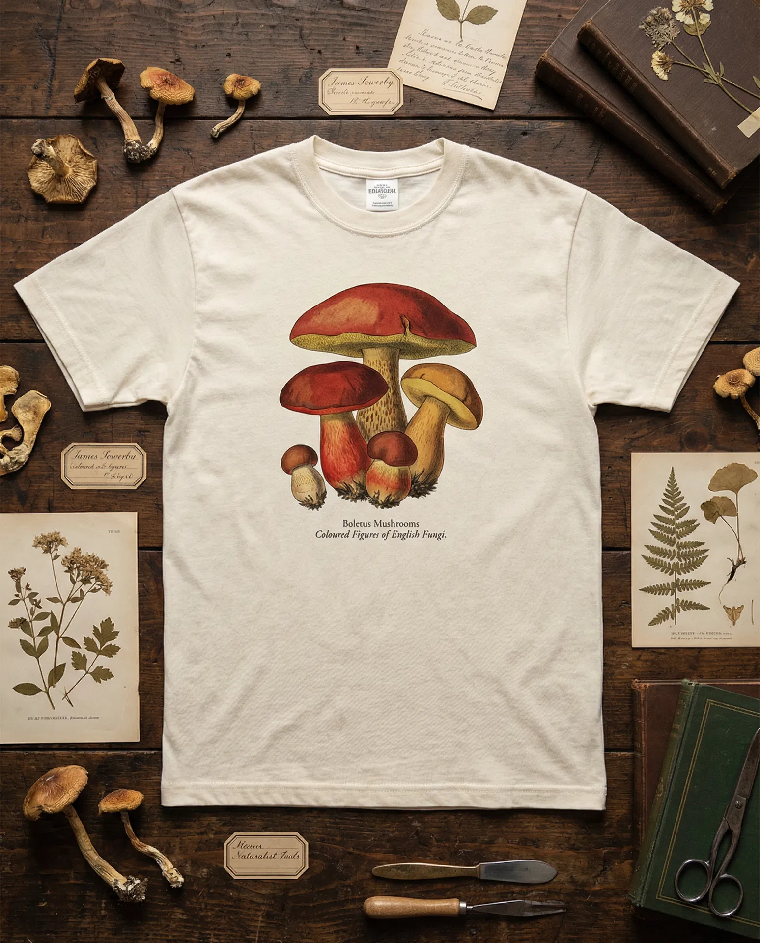 On the Amanita and the Art of Standing Still