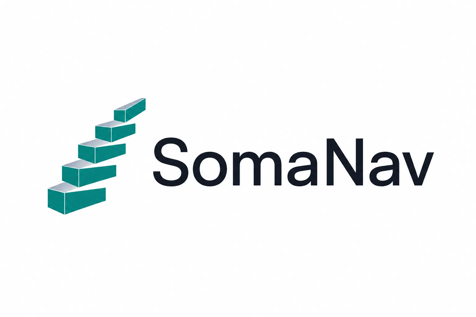 SomaNav