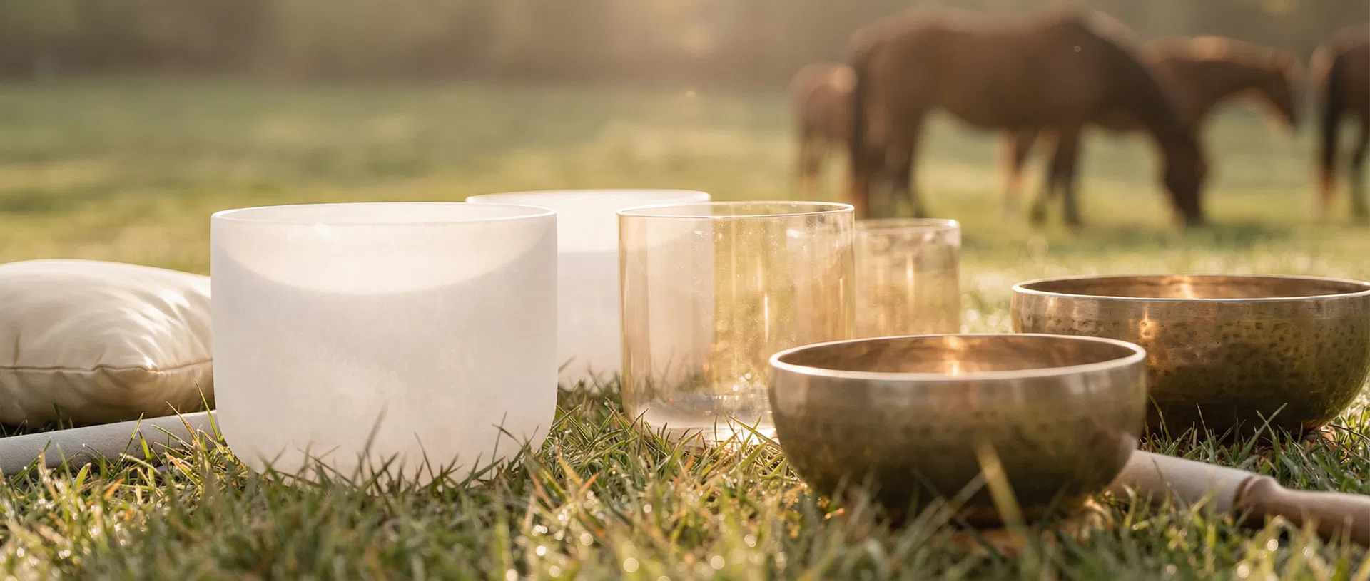 Sound bowls with horses in field