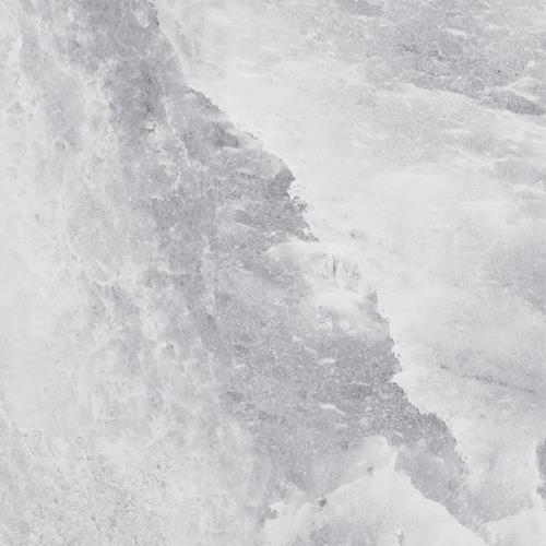 Caesar - Grey