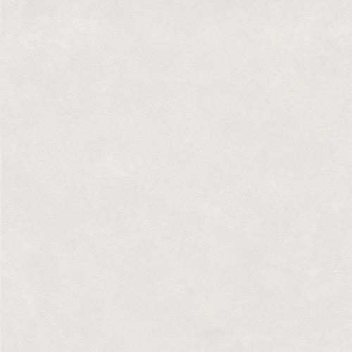 Evolve - White