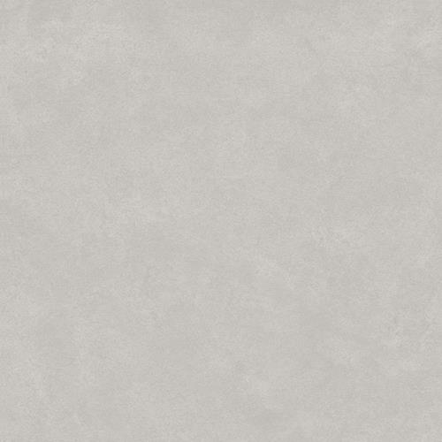 Evolve - Grey