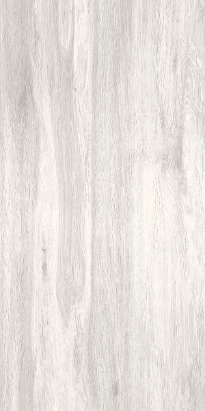 Acacia - White